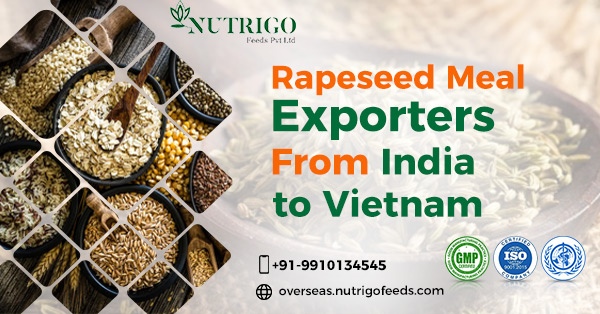 Rapeseed Meal Exporters from India to Vietnam