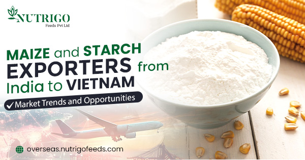 Maize and starch exports from india to Vietnam: market trends and opportunities | Nutrigo Feeds Pvt Ltd