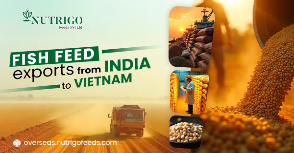 Key Factors Driving the Reliable Fish Feed Exporter from India to Vietnam | Nutrigo Feeds Pvt Ltd
