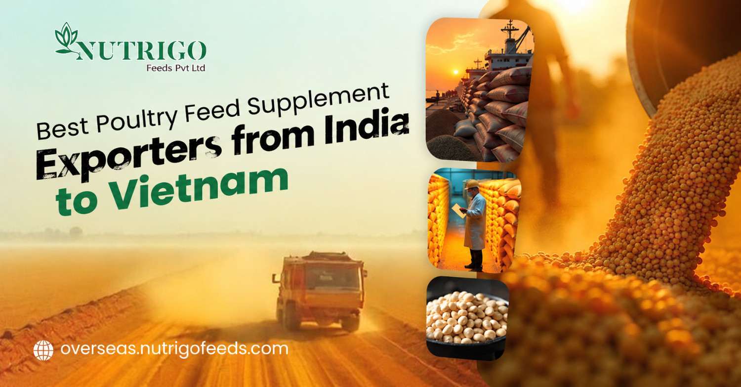 Poultry Feed Supplement Exporters from India to Vietnam