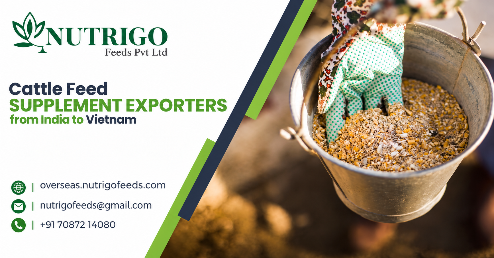 Cattle Feed Supplement Exporters from India to Vietnam