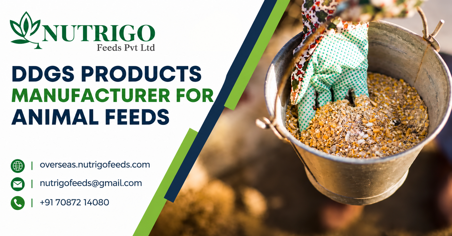 DDGS Products Manufacturer for Animal Feeds